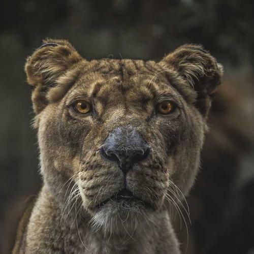 اثر نقاشی ۹